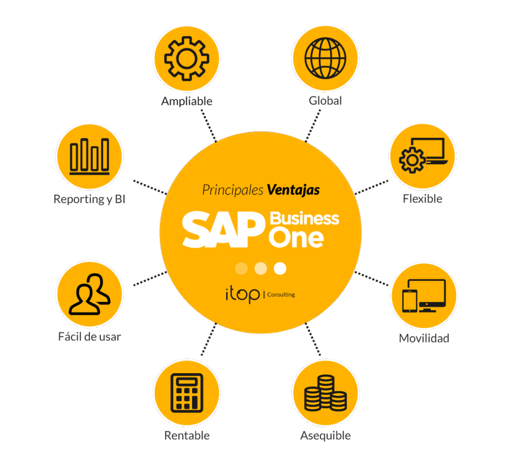 sap business one