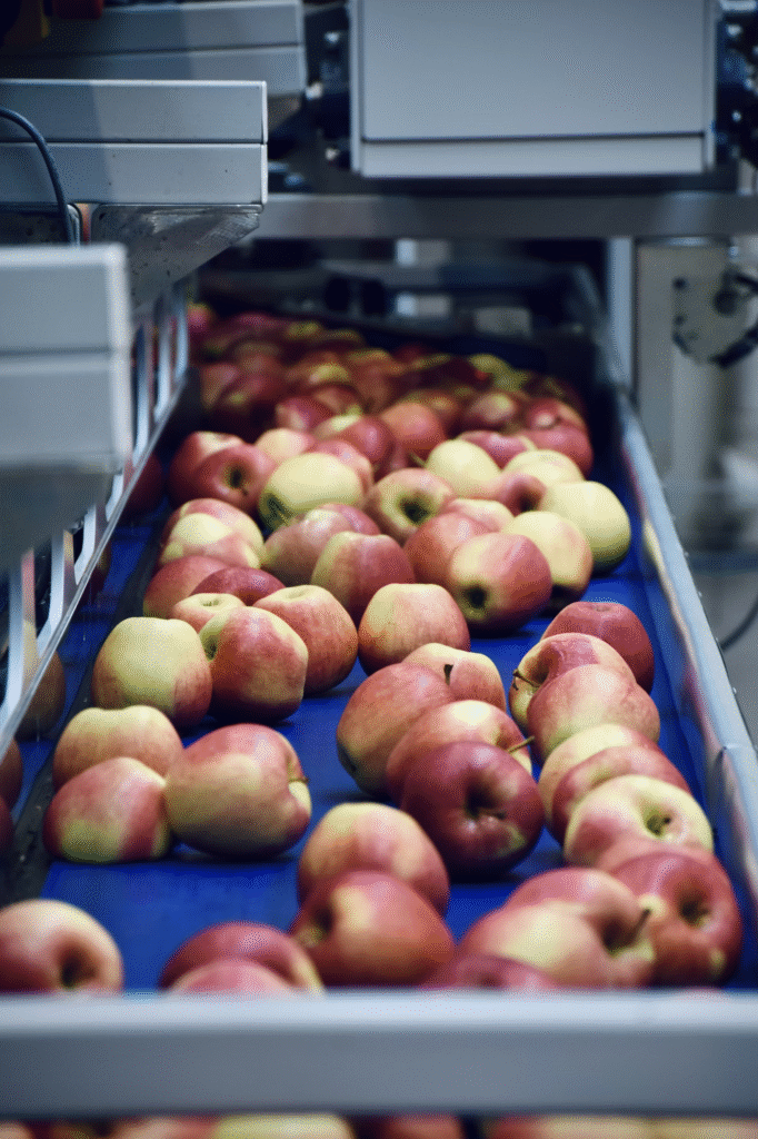 en que fijarte para elegir un erp de alimentación