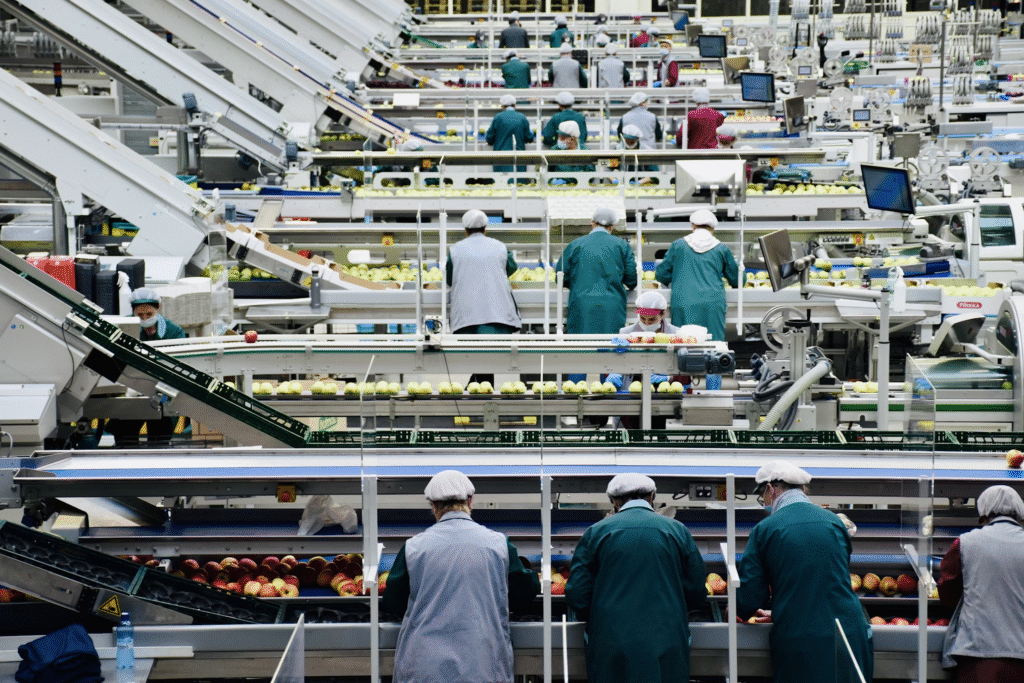 erp industria alimentaria